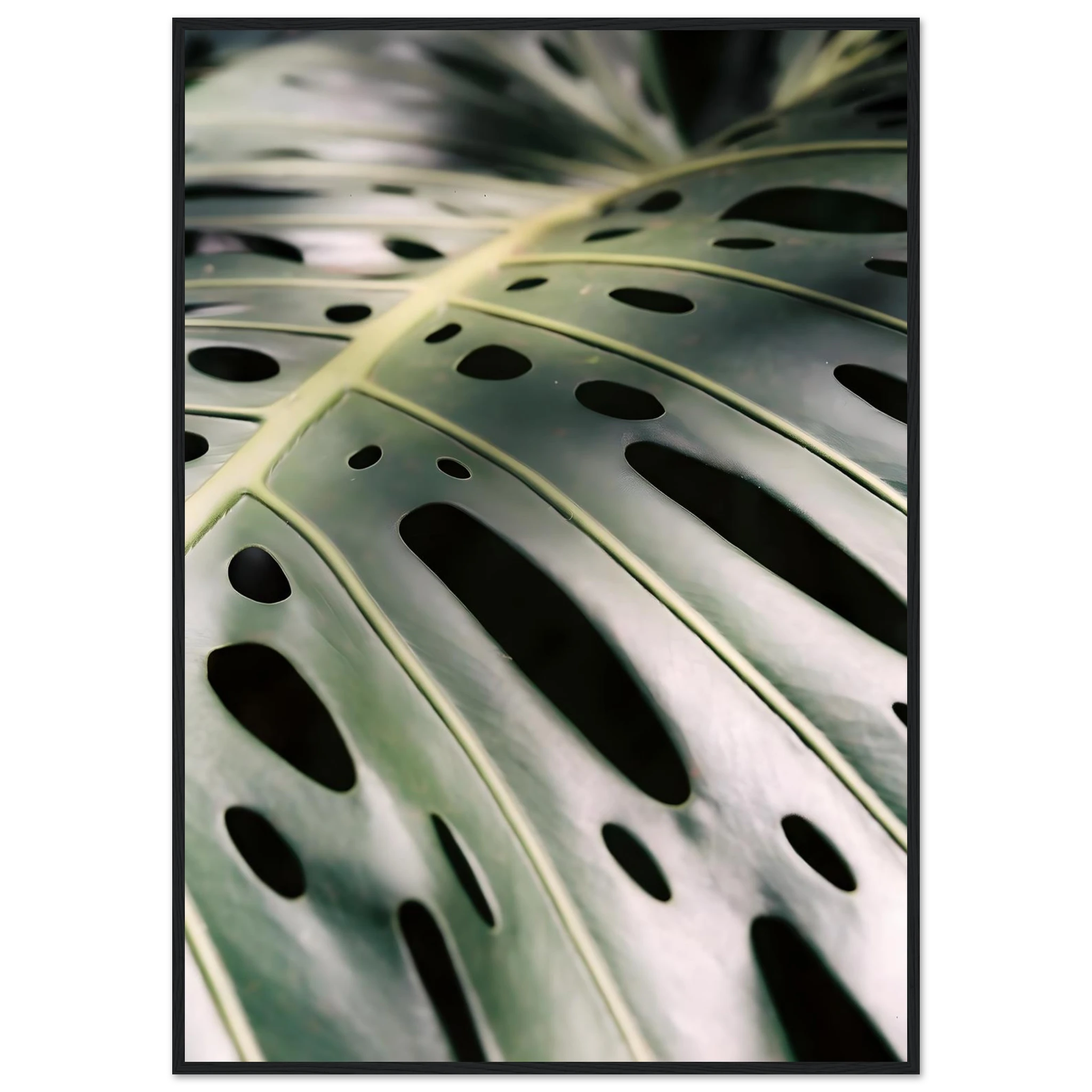5d3b15a3-528f-4c22-bcf8-c2d963aef46c