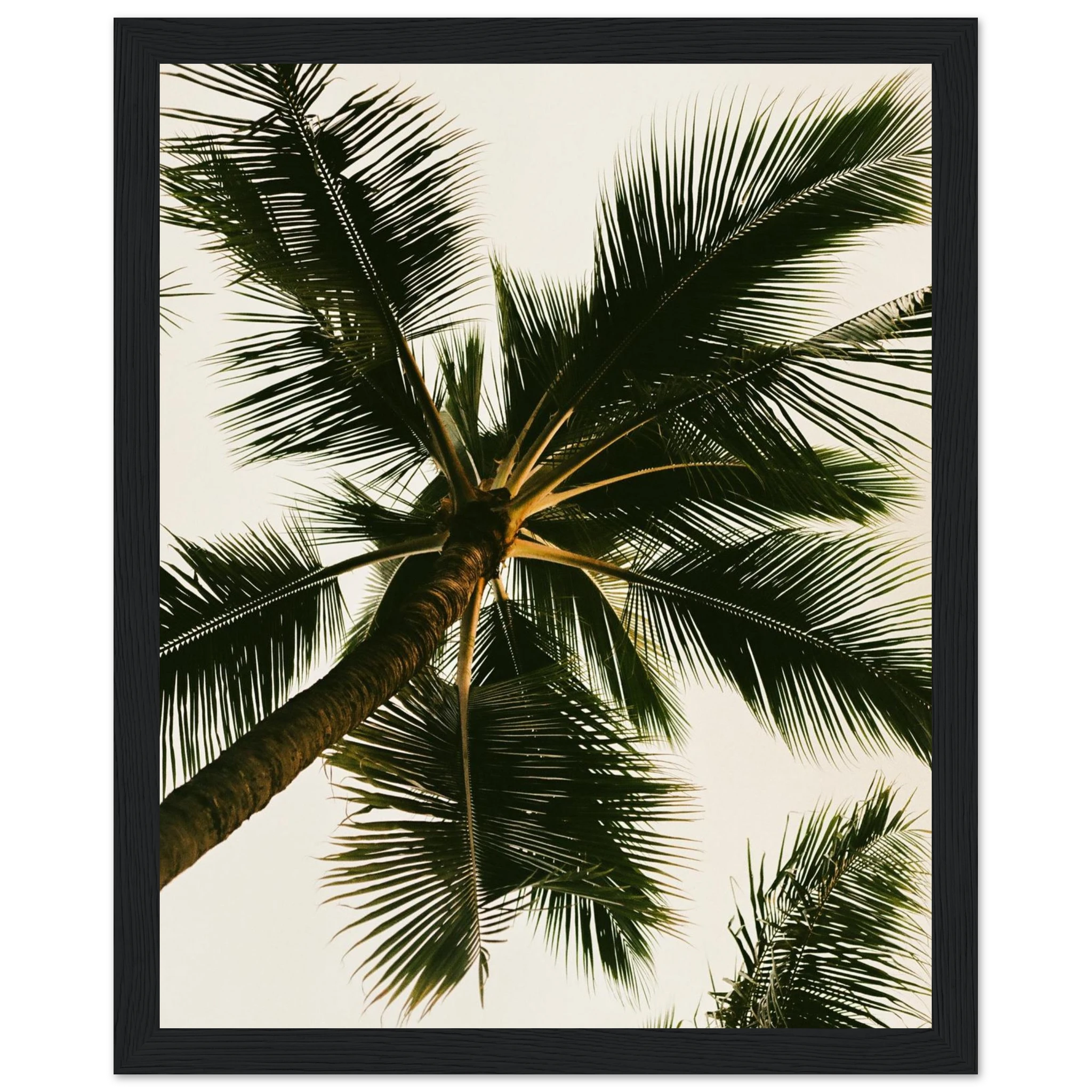 73d016c8-0d27-431b-b8cb-f52404f26ec0