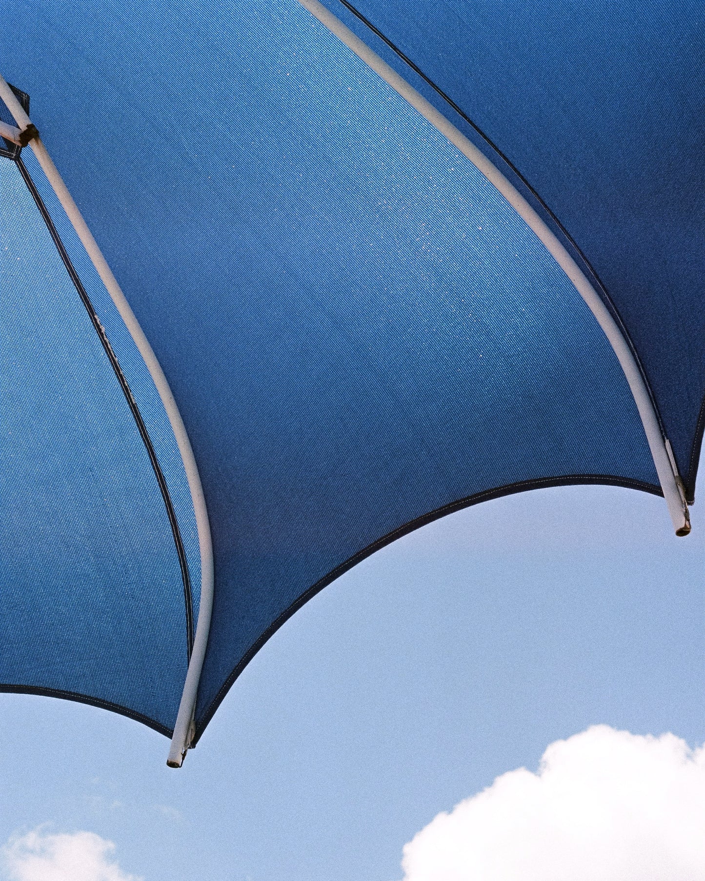 Soft Shade Film Print