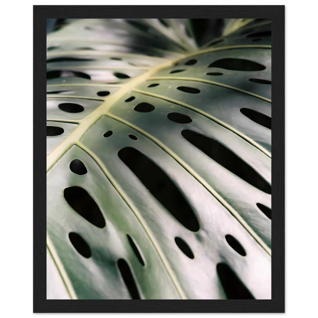 d8bc1355-1e79-4c27-8e4f-b00c1045690f