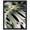 d8bc1355-1e79-4c27-8e4f-b00c1045690f