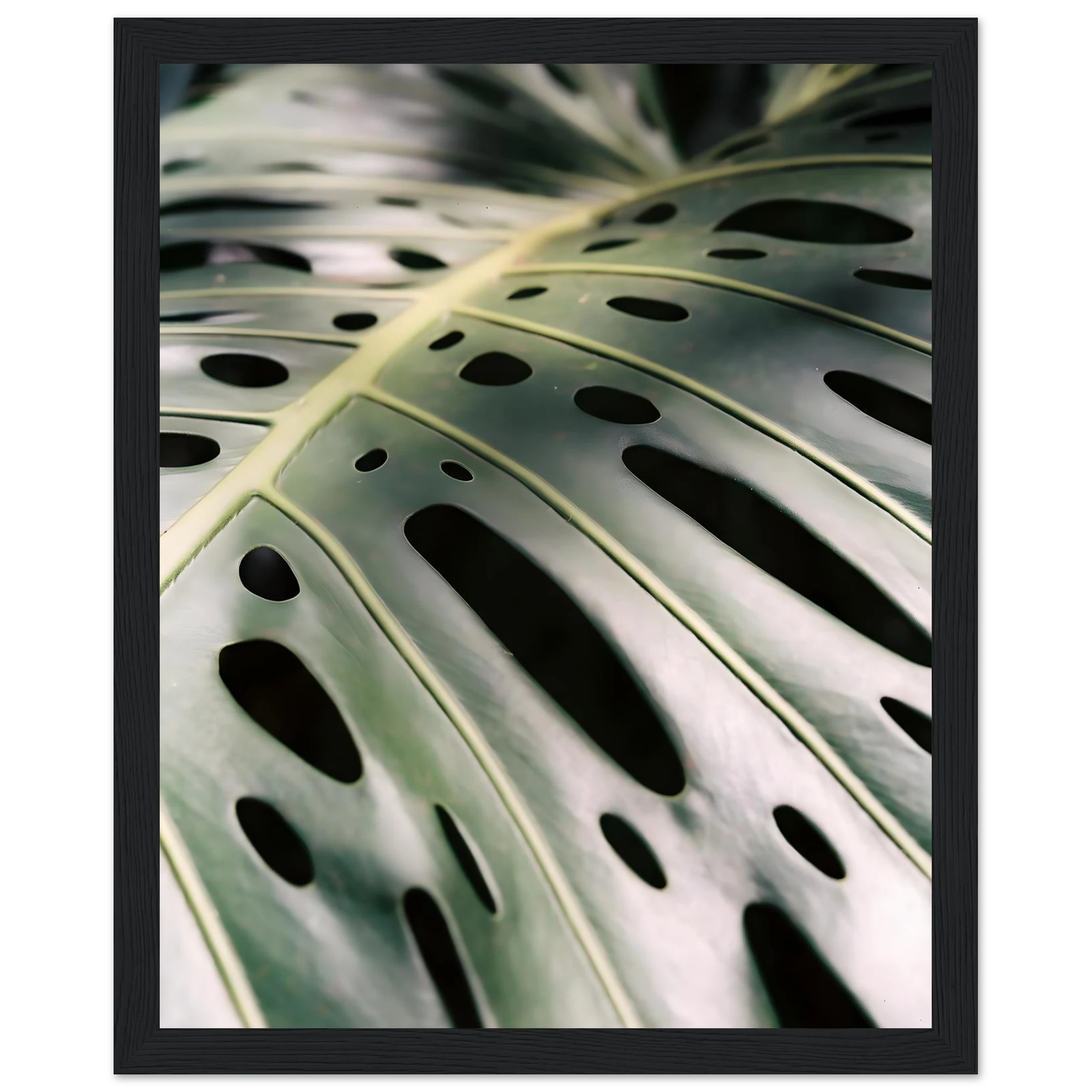 d8bc1355-1e79-4c27-8e4f-b00c1045690f